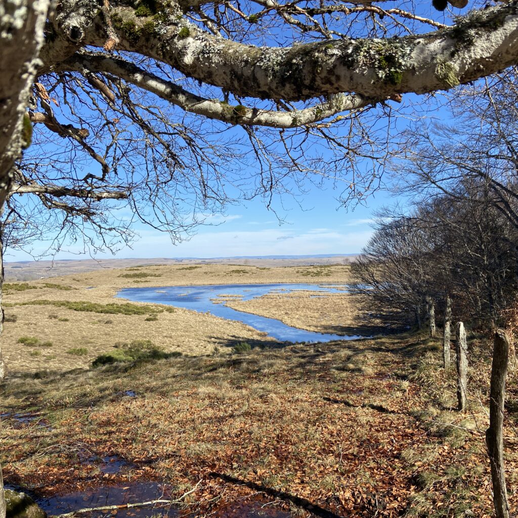 Plateau de l'Aubrac l'hiver à la fonte des neiges