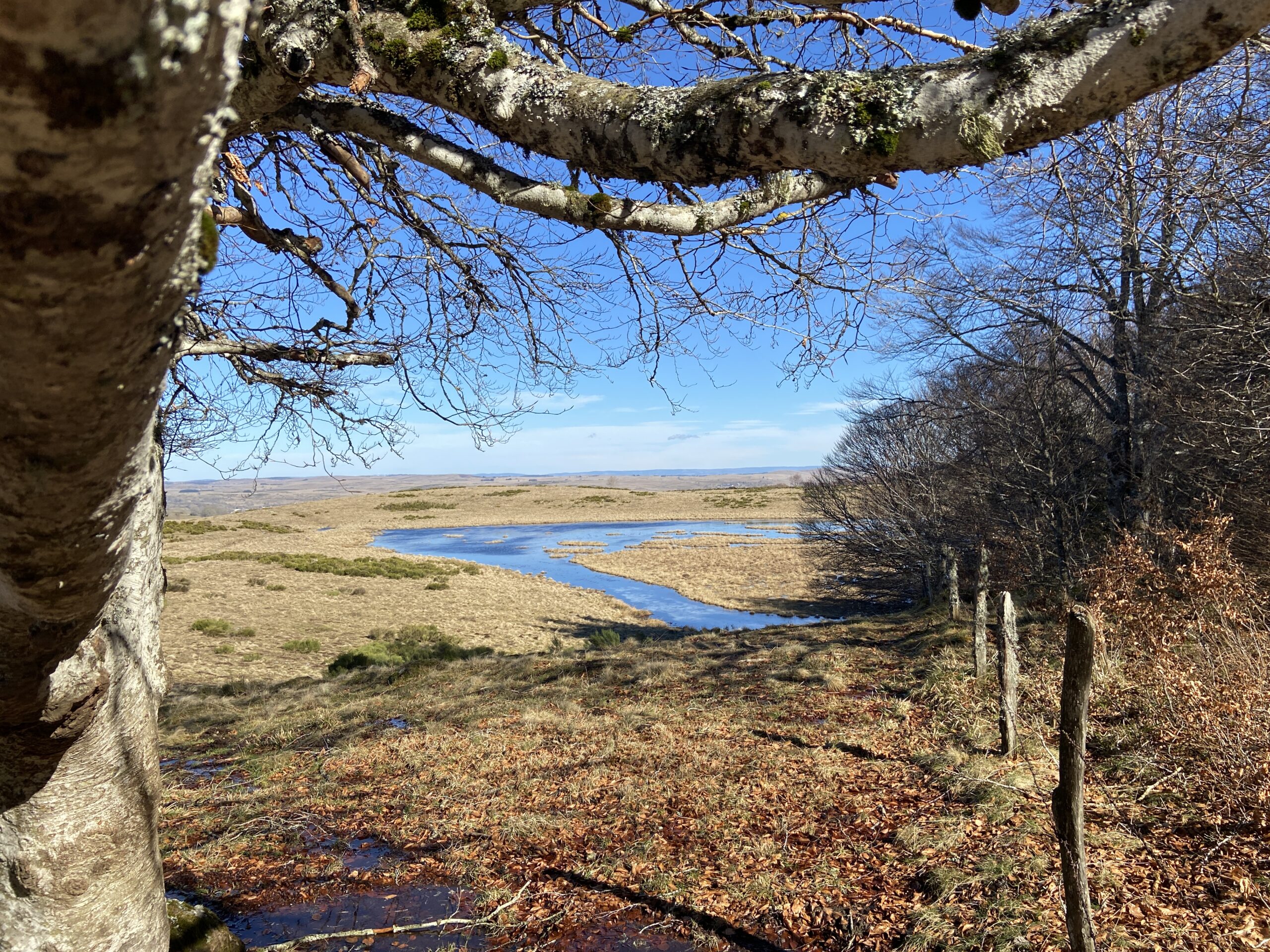 Plateau de l'Aubrac l'hiver à la fonte des neiges