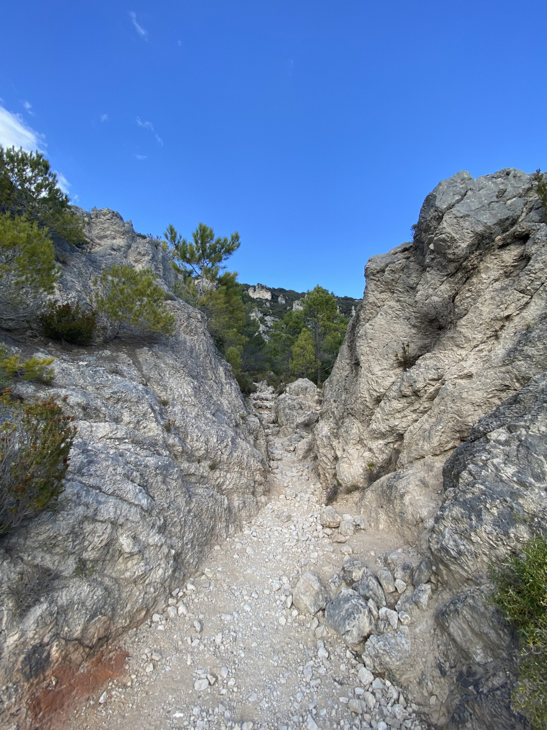 Blabla Rando : Randonnée et petit déj' au rocher du Causse – Image 10