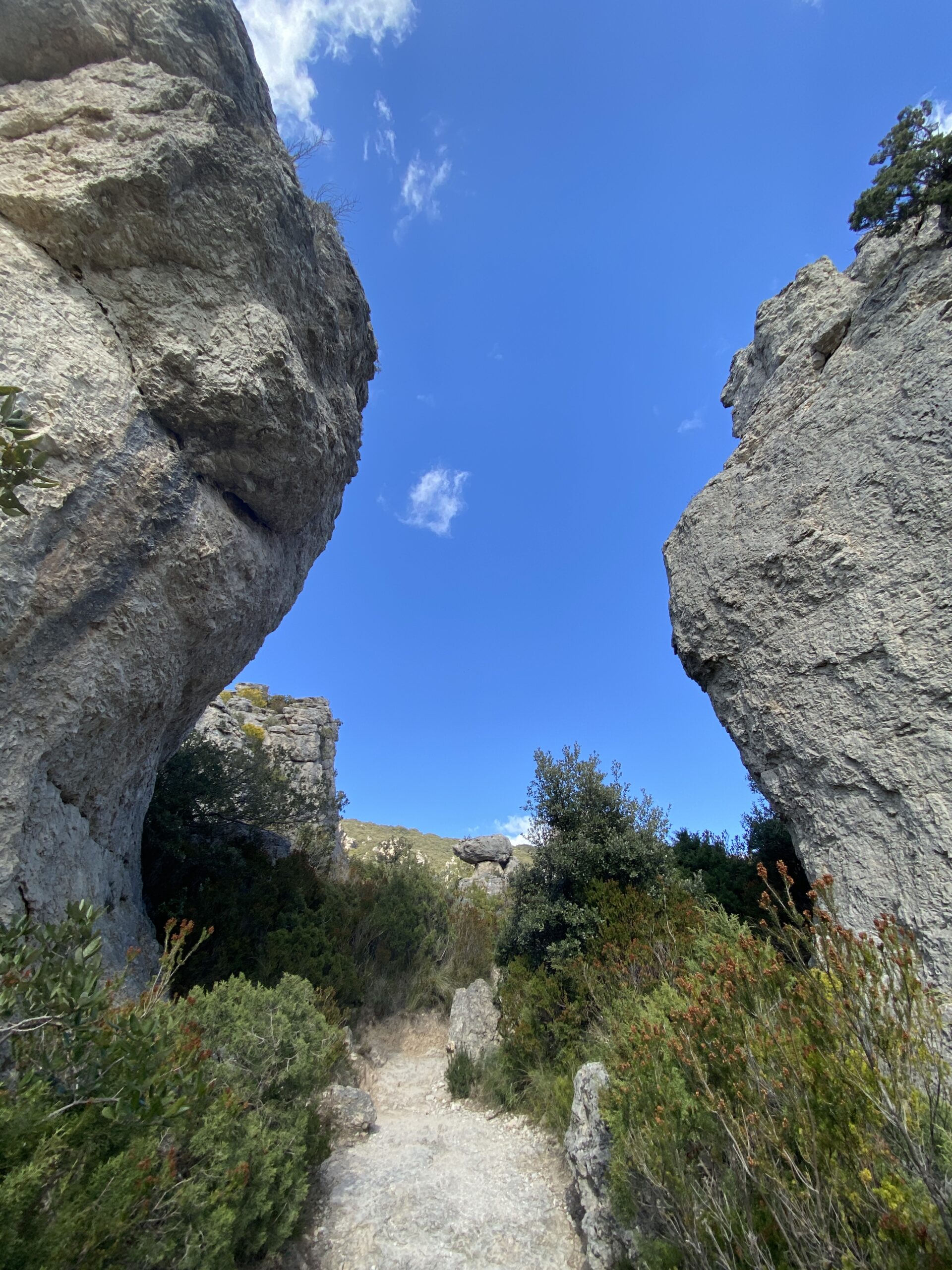 Blabla Rando : Randonnée et petit déj' au rocher du Causse – Image 11