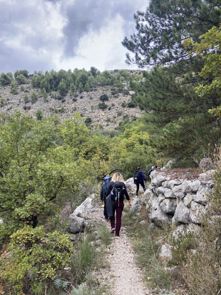 Séjour sport Drôme rand'orientation la roche sur le buis