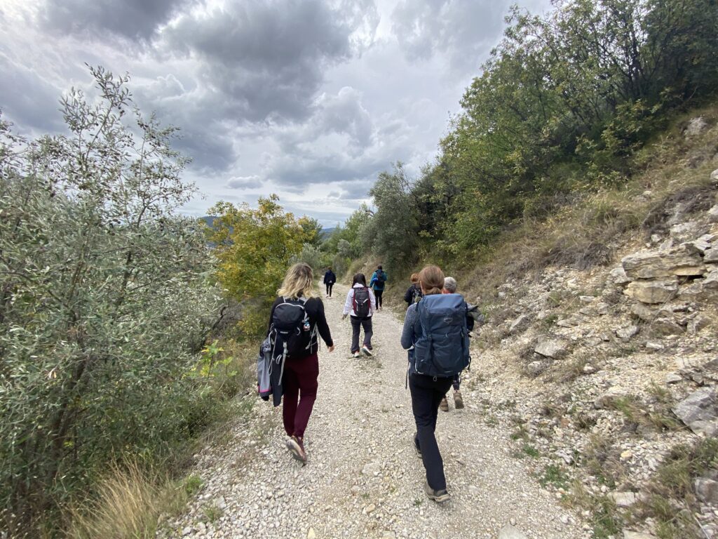 Séjour sport Drôme rand'orientation retour par les oliviers