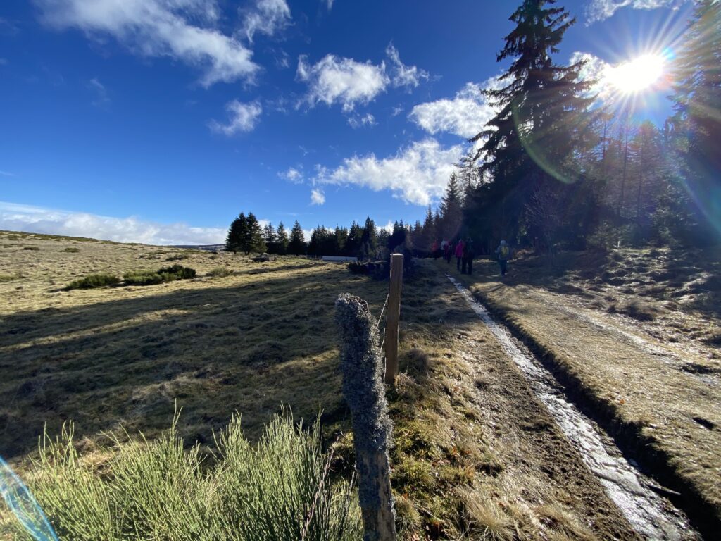 Trek Cantal verts pâturages