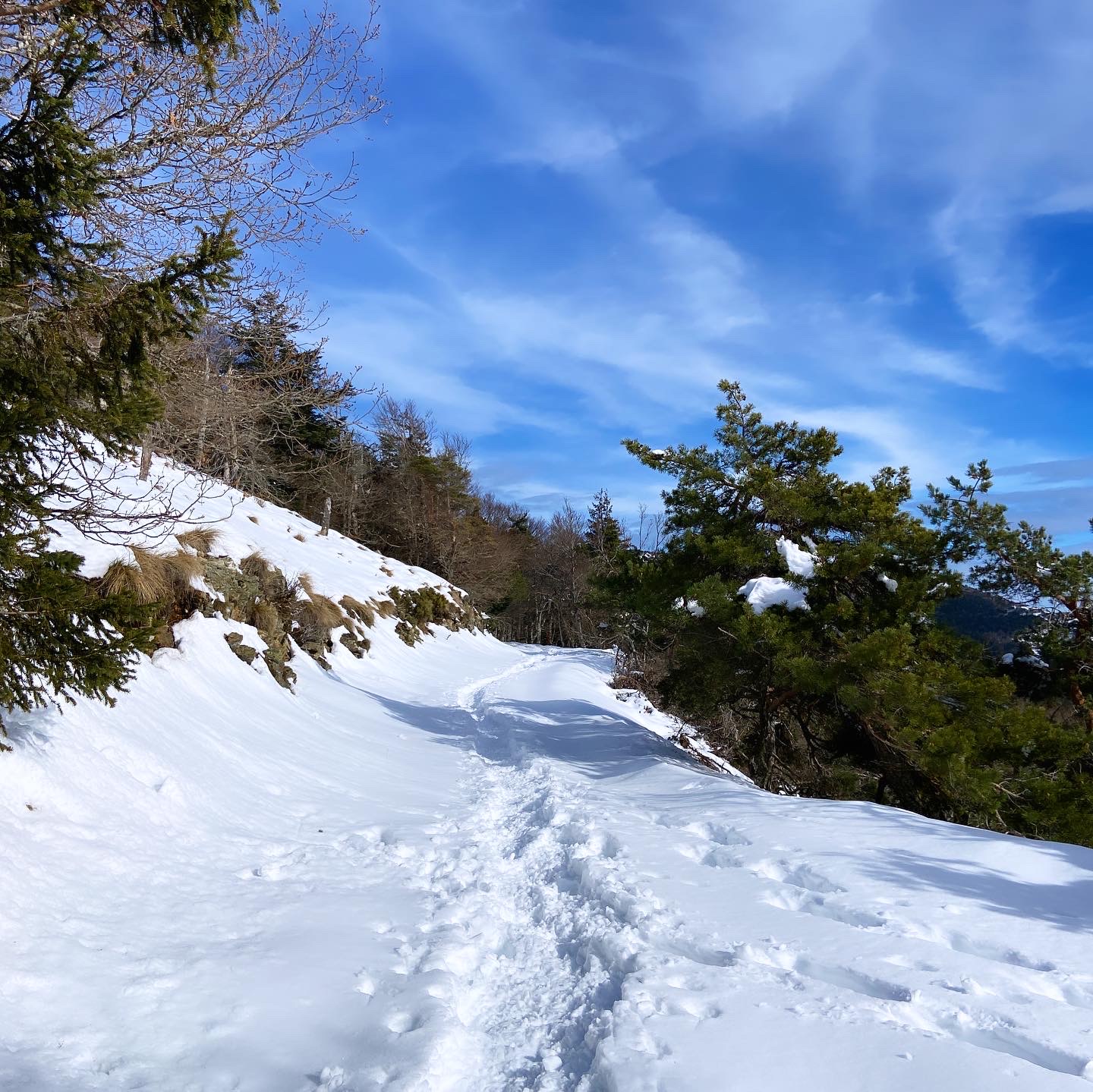 Séjour Raquettes & Orientation : aventure ludique en Cévennes – Image 4