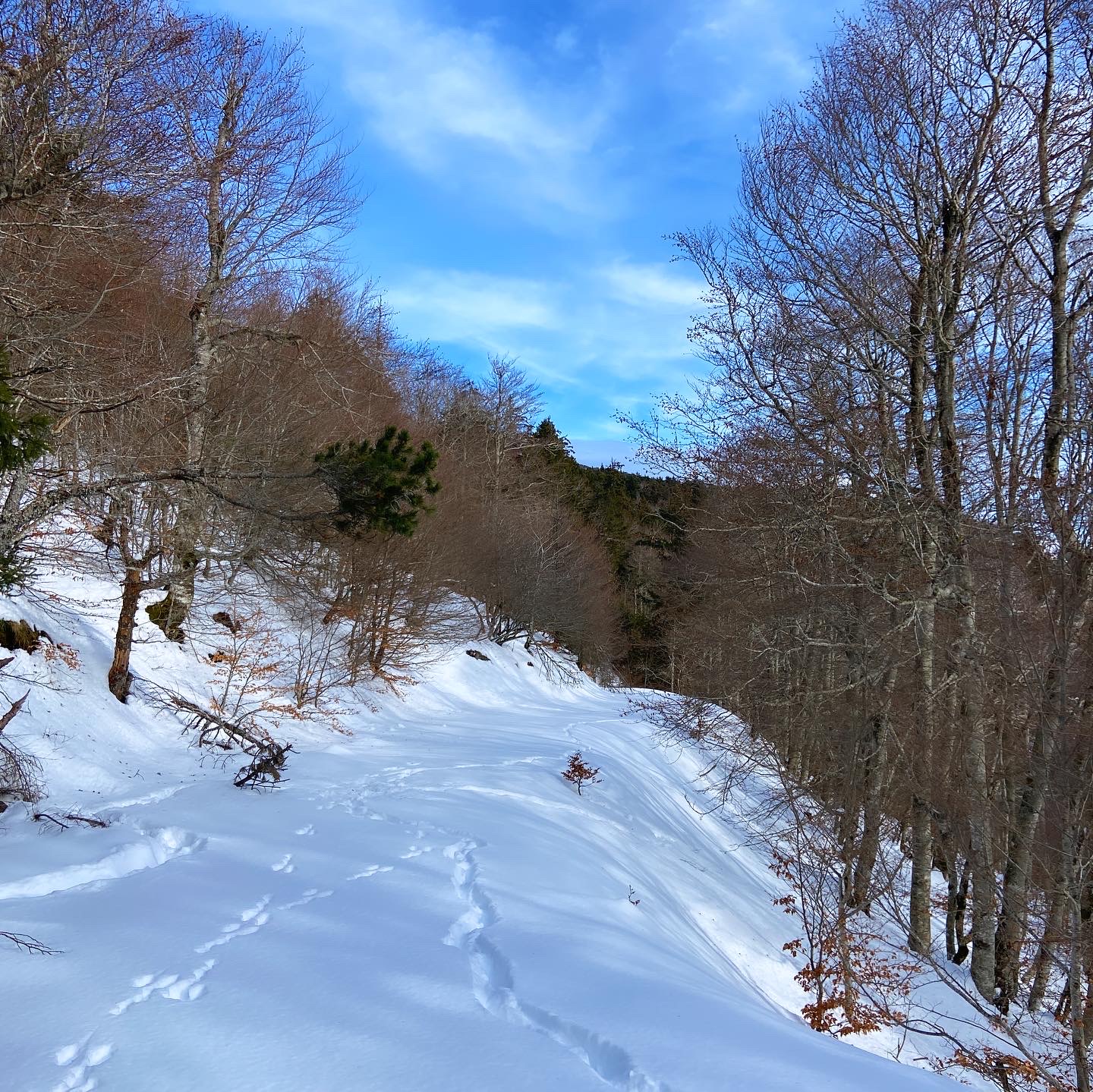 Séjour Raquettes & Orientation : aventure ludique en Cévennes – Image 5