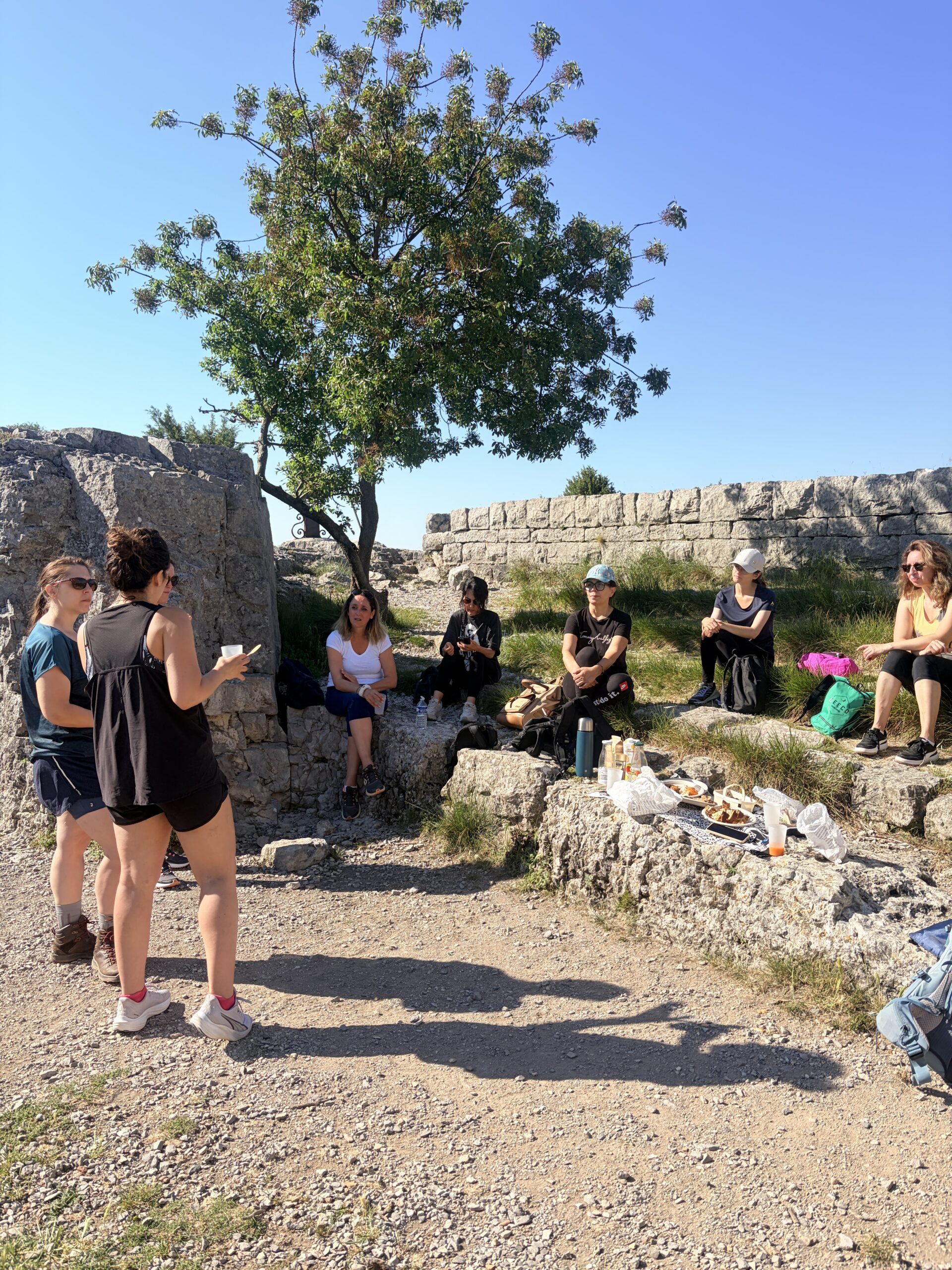 Blabla Rando : Randonnée et petit déj' au rocher du Causse – Image 8