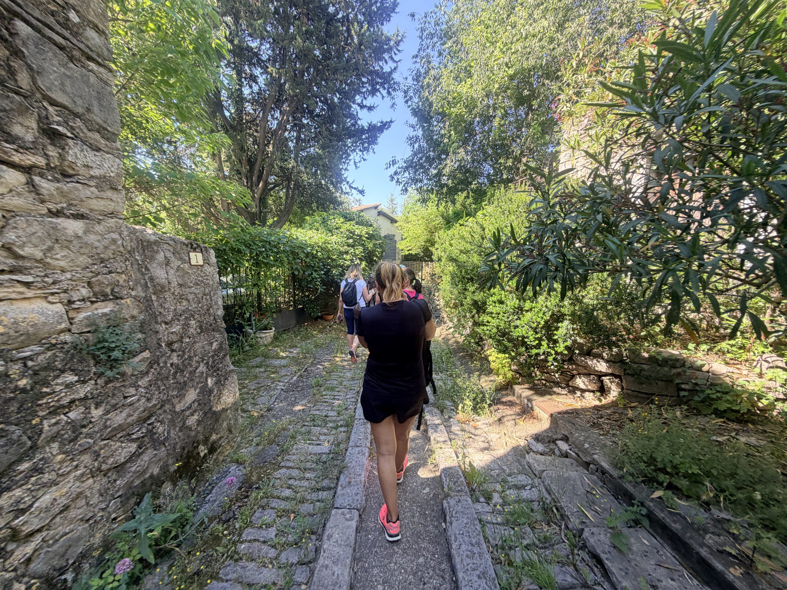 Blabla Rando : Randonnée et petit déj' au rocher du Causse – Image 15