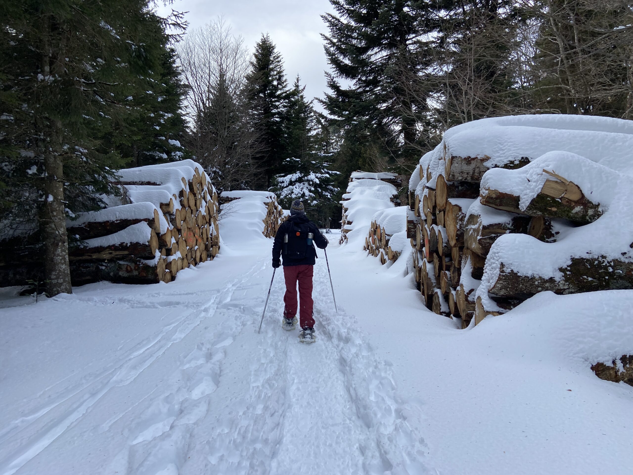 Séjour Raquettes & Orientation : aventure ludique en Cévennes – Image 8