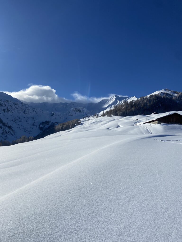 La Plagne, le plus bel itinéraire raquettes, alpages enchantés