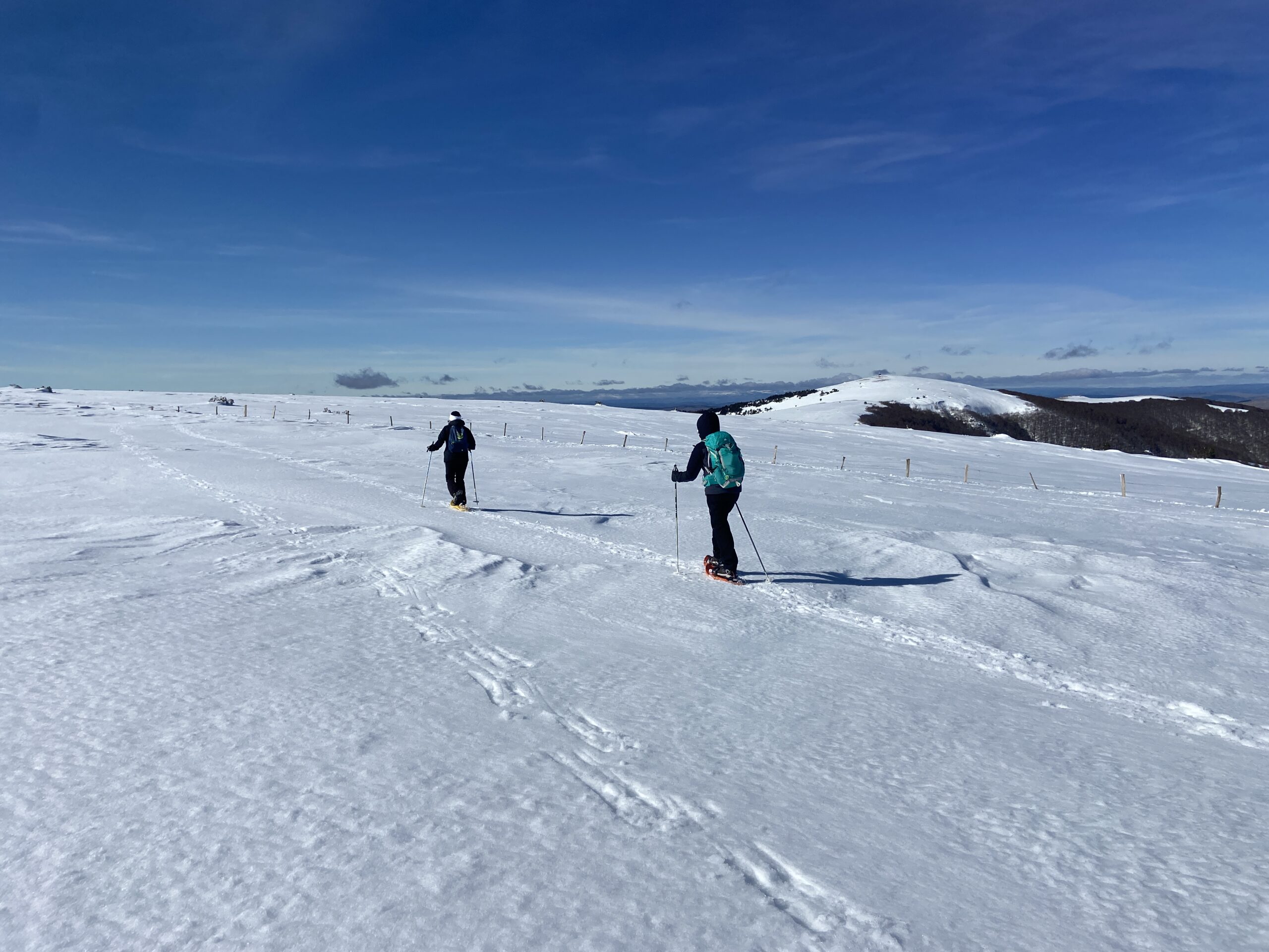 Randonnée raquettes Cévennes Aigoual groupe